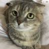 の写真