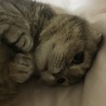 の写真