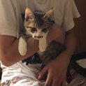 海岸で繁殖してしまった子達です