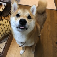 いちまる