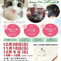 古民家カフェで　『ねこの幸せさがし』　譲渡会 サムネイル1
