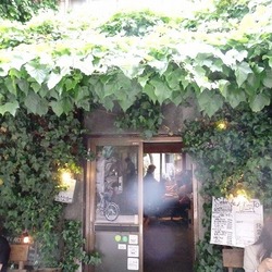 古民家カフェで　『ねこの幸せさがし』　譲渡会 サムネイル2