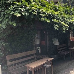 古民家カフェで　『ねこの幸せさがし』　譲渡会 サムネイル2