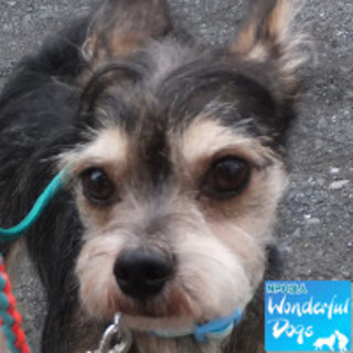 「あなご」MIX♂