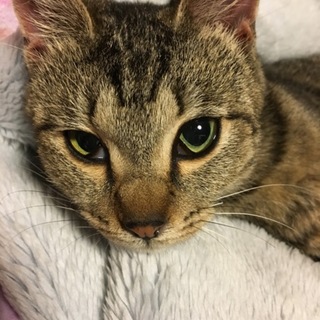 お母さんになってください。是非。。。