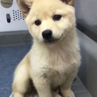いなり