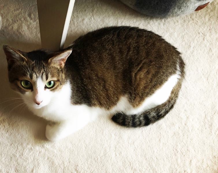 うに