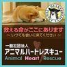 アニマルハートレスキュー