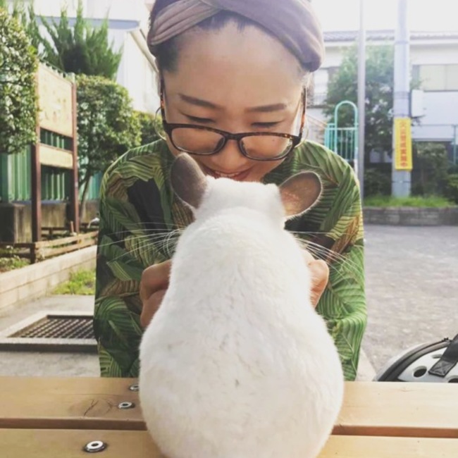 維維のカバー写真