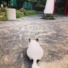 の写真