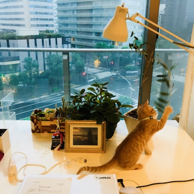 エレンのママのカバー写真
