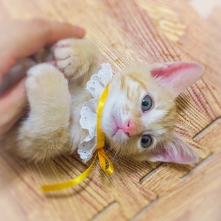 美しい瞳とミルクティー色元気ガール！マーガレット