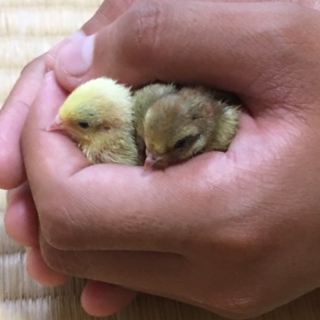 きよまてぃのカバー写真