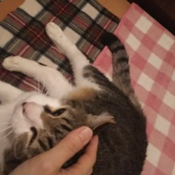 「こんなことしか出来ないけれど」サムネイル1