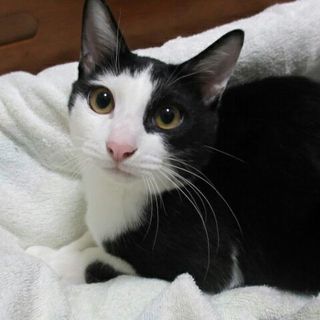 おっとり内向的な甘えん坊さん