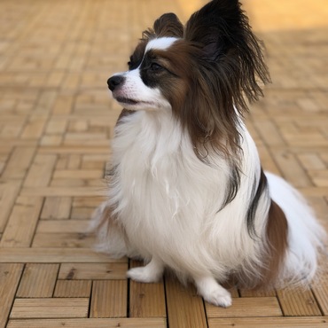 屋上で遊んでみた