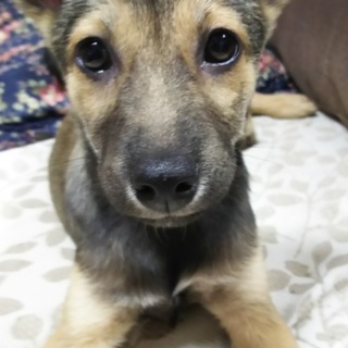 私ちっちゃな癒しのプロ!!