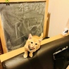 エレンは、進撃の巨人が好きな息子が付けました。