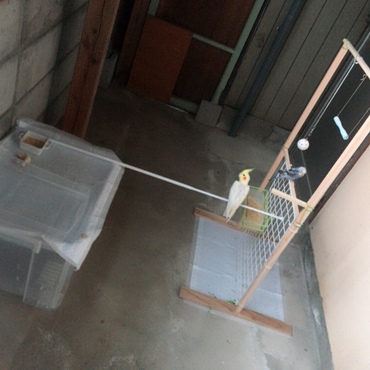 元が倉庫なので少し暗いですが窓(網戸)もあり、日中は開けています。