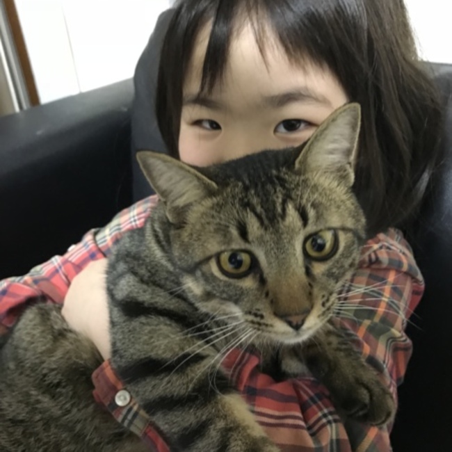 jnkoooooのカバー写真