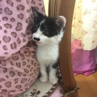 萩原らに