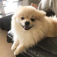 マロン