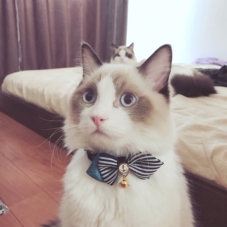 みるのカバー写真