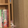 すっ