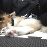 ZZZ