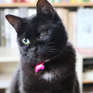 良いご縁がありました！