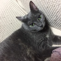 ウリ