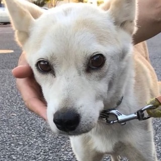 飼い主さんのお迎えがありました。