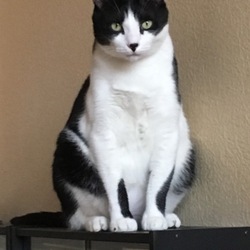 「チャーミー怖かったね(＞人＜;)」サムネイル2