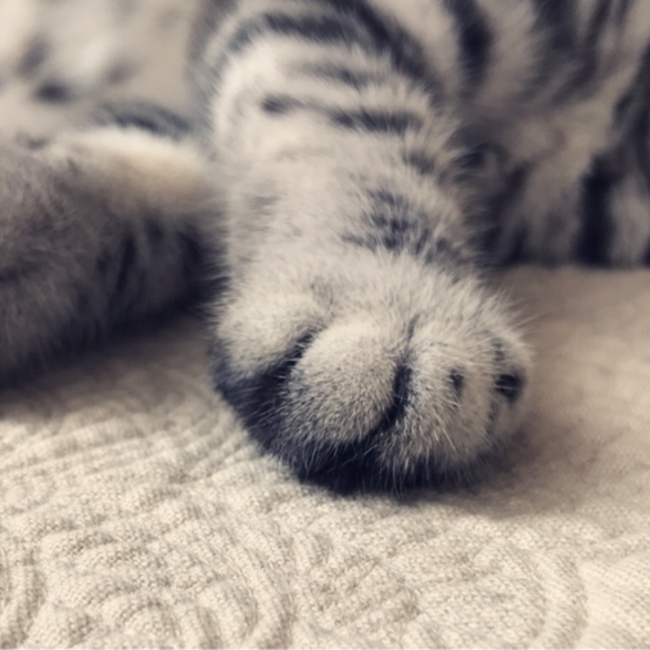 Ke!のカバー写真