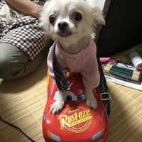 りん