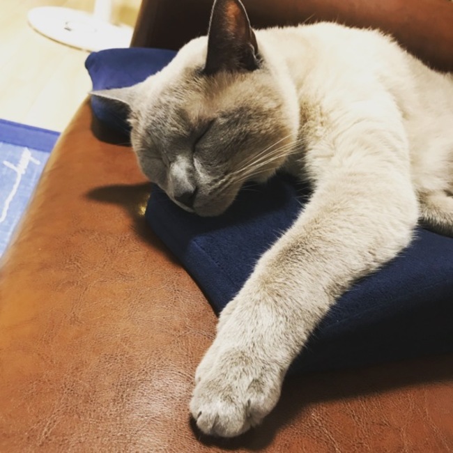 まっきー0219のカバー写真