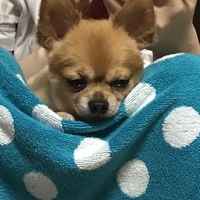 はじめ