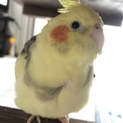 一旦締め切らせて頂きます。