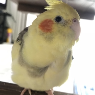 一旦締め切らせて頂きます。