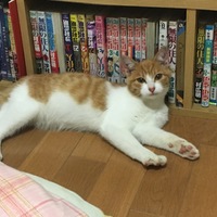 未定
