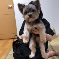 ソラ