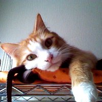 （永眠）さくら