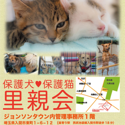 ジョンソンタウン内管理事務所にて犬猫里親会