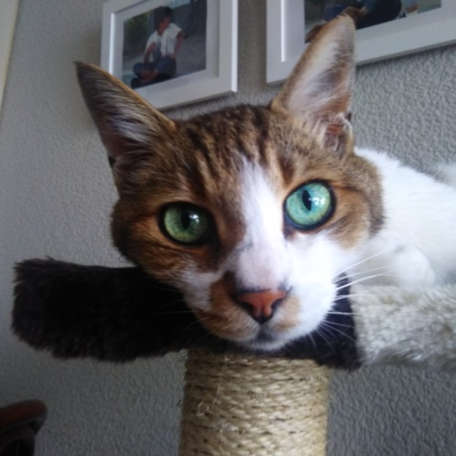 hitochan_76のカバー写真