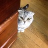 まいまい(・ω・ )