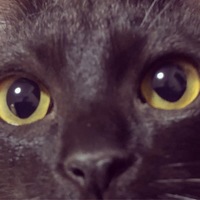 ふわり