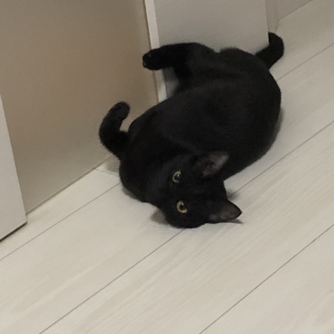 の写真