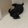 の写真