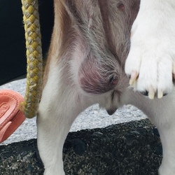 「よくがんばったね。」サムネイル2