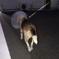 「よくがんばったね。」サムネイル1